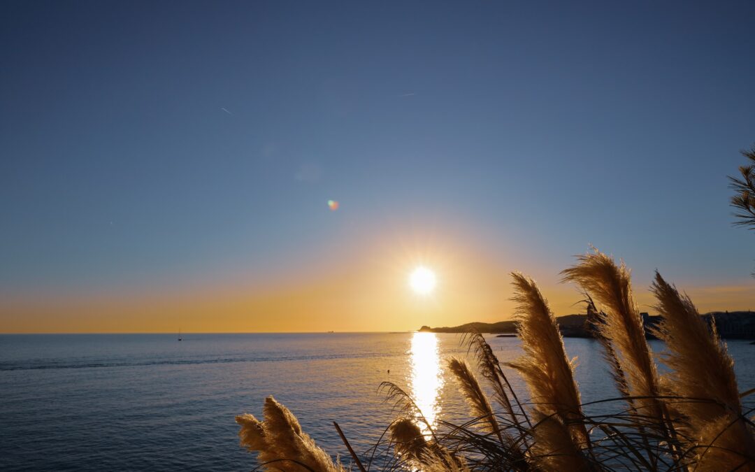 Parish Staff & School Support Staff Gatherings