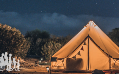 Continental Stage  |  Synod 2021-2024