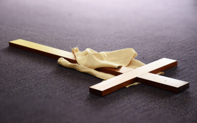 Way of the Cross  |  Reflection Resource
