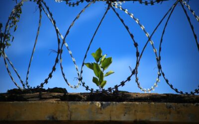 Finding God in the Margins | A Reflection on Prison Chaplaincy