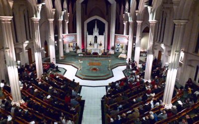Catholic Parish Demographics: A Summary of the Reports