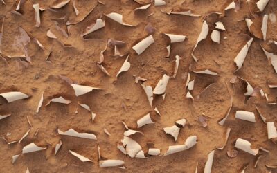 From Dry Bones to Living Fire | Testimony from Fr Simon Story