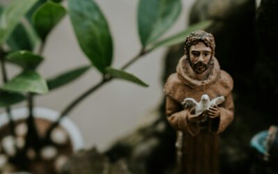 Year of St Francis of Assisi