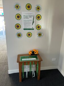HDSS display at St Anthonys Pahiatua