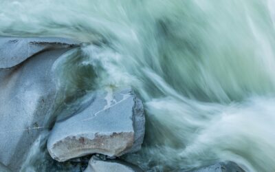 Season of Creation 2026 | Living Water